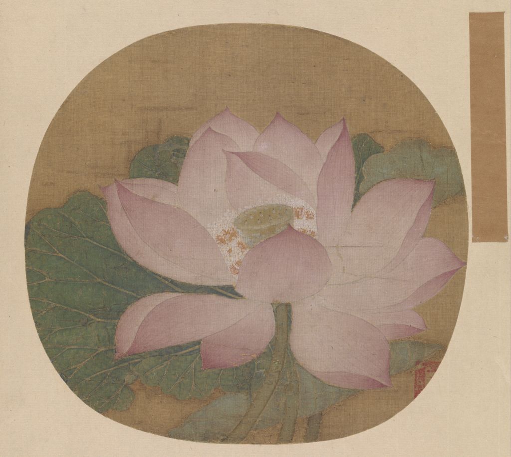 图片[1]-Flowering Lotus-China Archive